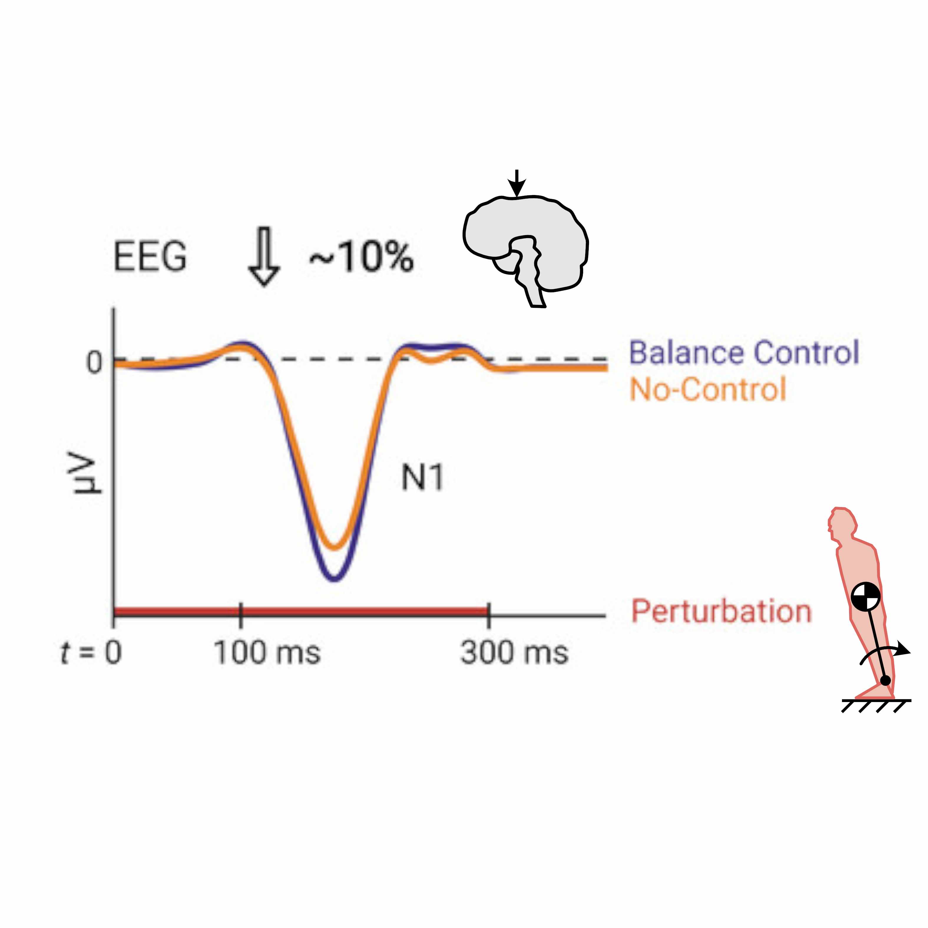 N1 response in control and without